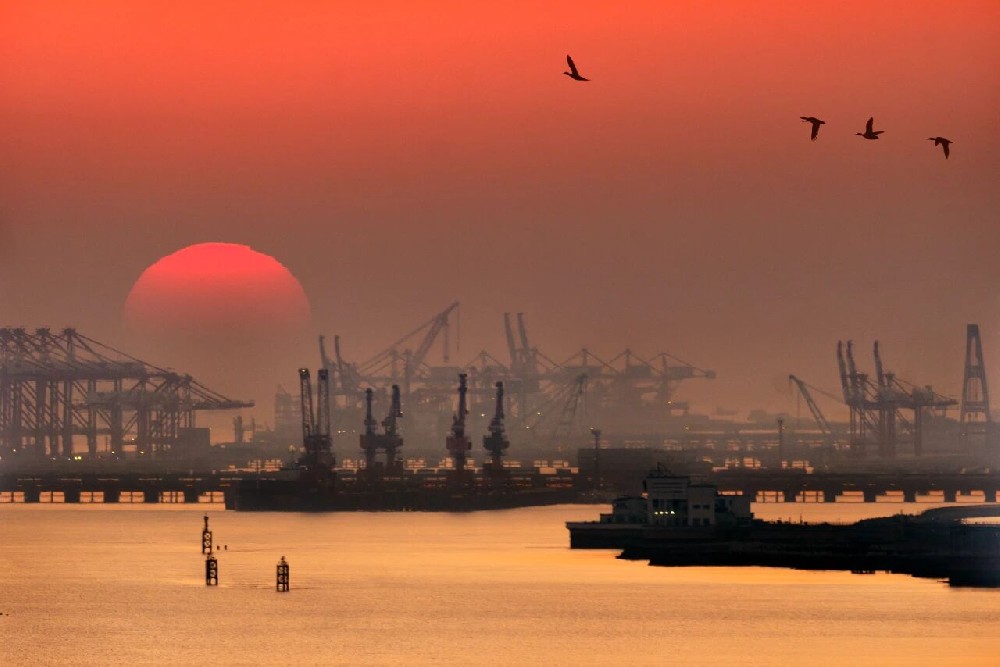 全球第一大港的打法变了丨港口圈